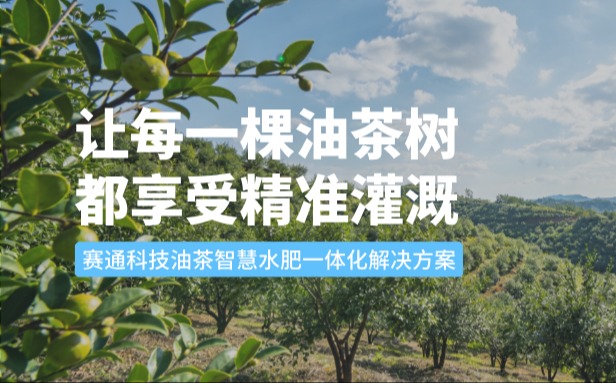 赛通科技油茶K8凯发(中国)水肥一体化解决方案：让每一棵油茶树都享受精准灌溉